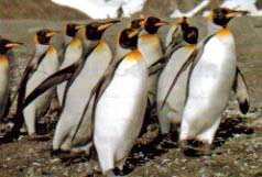 Look, Ma-I'm WALKING!!